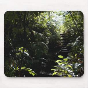 Rustic staircase/footpath in forest, sunlight mouse pad