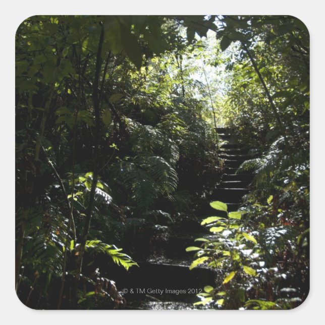 Rustic staircase/footpath in forest, sunlight square sticker (Front)