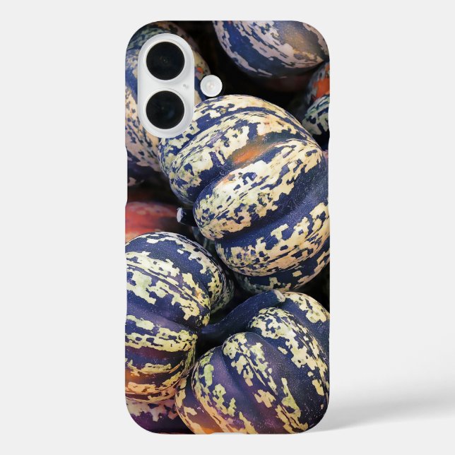 Rustic Striped Pumpkins  Case-Mate iPhone Case (Back)