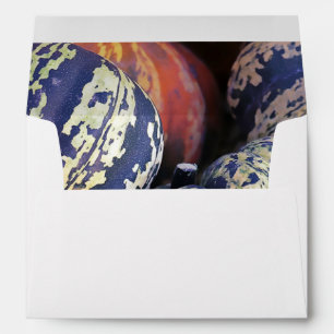 Rustic Striped Pumpkins  Envelope