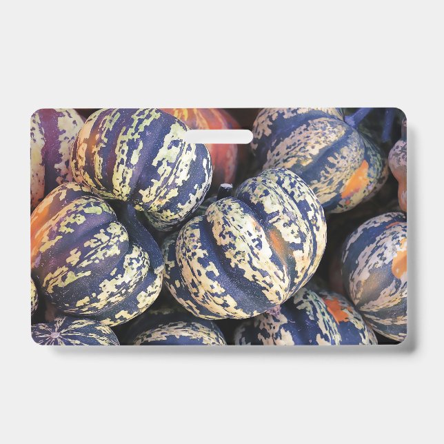 Rustic Striped Pumpkins  ID Badge (Front)