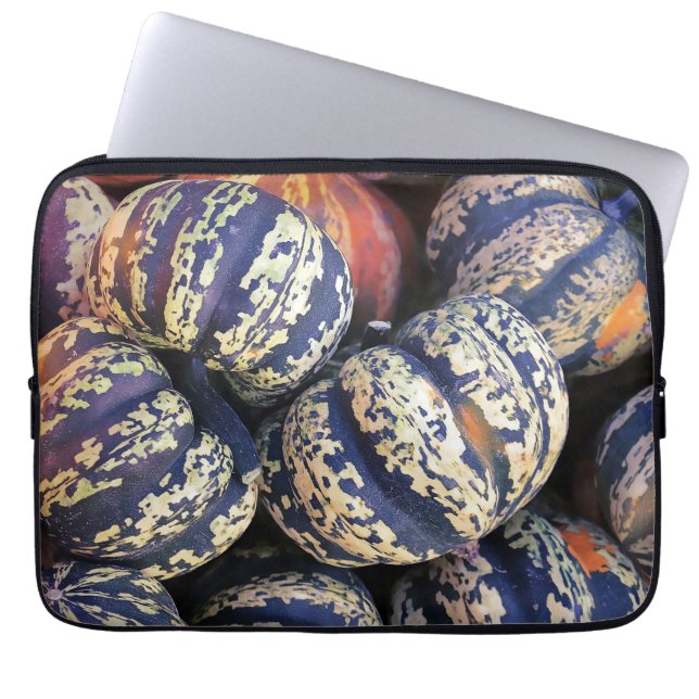 Rustic Striped Pumpkins  Laptop Sleeve (Front)