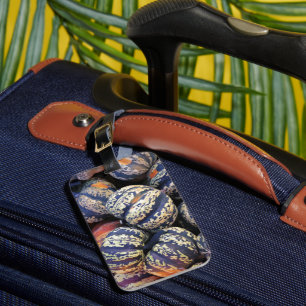 Rustic Striped Pumpkins Luggage Tag