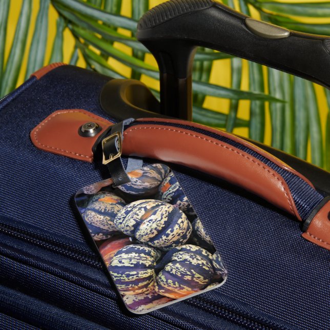 Rustic Striped Pumpkins  Luggage Tag (Front Insitu 1)