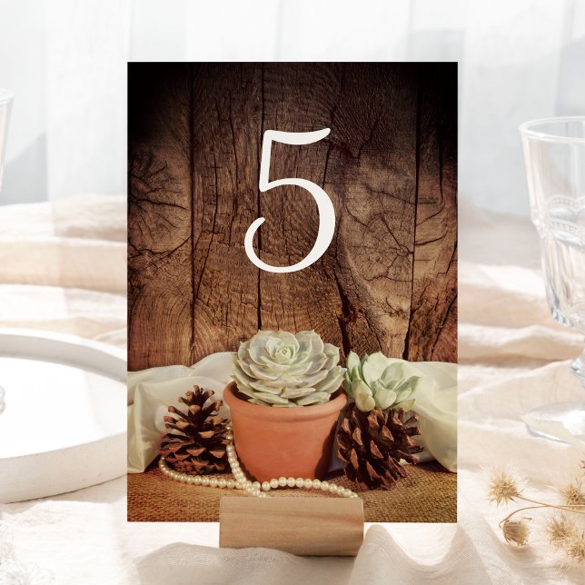 Rustic Succulents Barn Wood Wedding Table Numbers (Creator Uploaded)