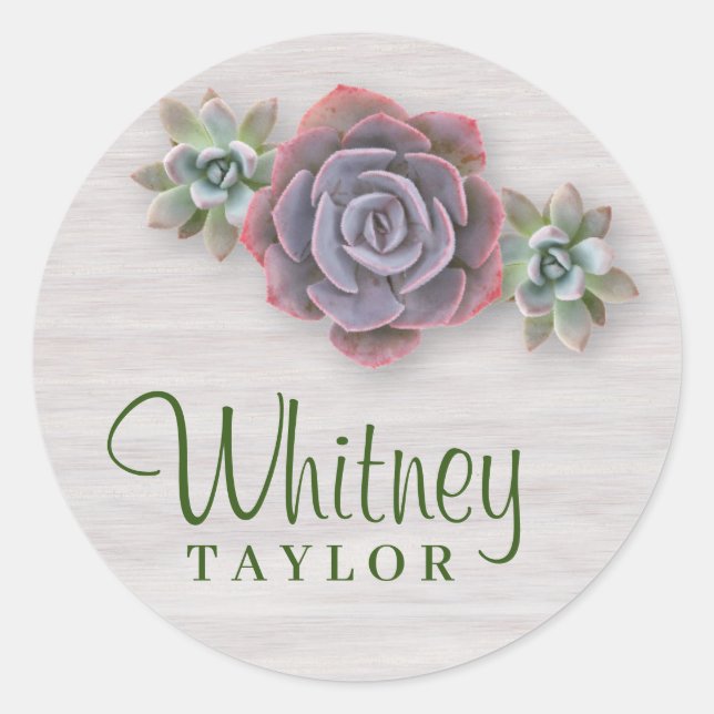 Rustic Succulents Classic Round Sticker (Front)