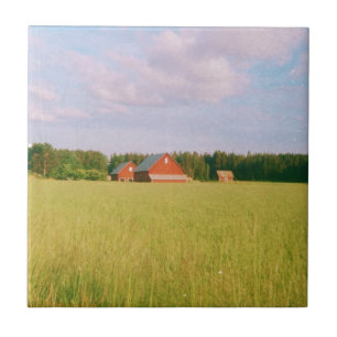 Rustic summer field, Helsingia, Sweden Ceramic Tile