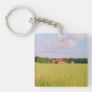 Rustic summer field, Helsingia, Sweden Key Ring