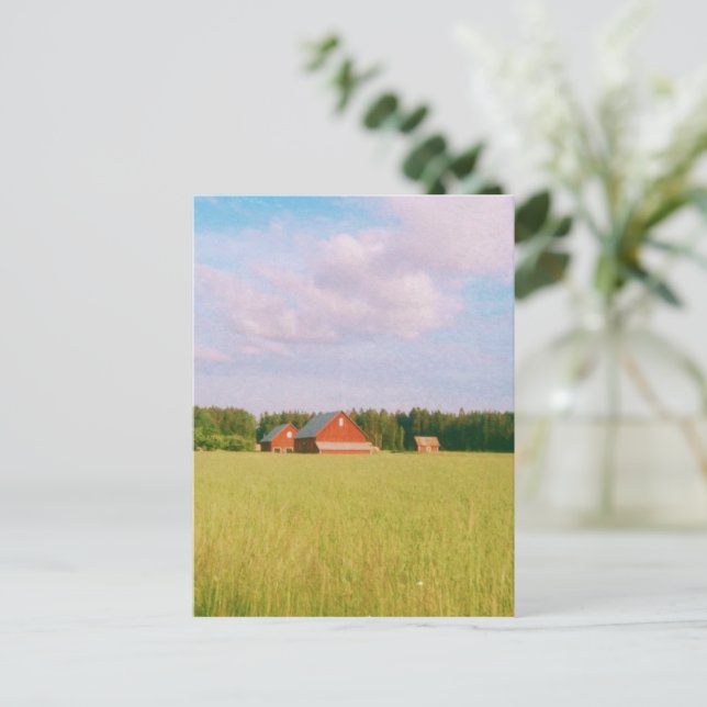 Rustic summer field, Helsingia, Sweden Postcard (Standing Front)