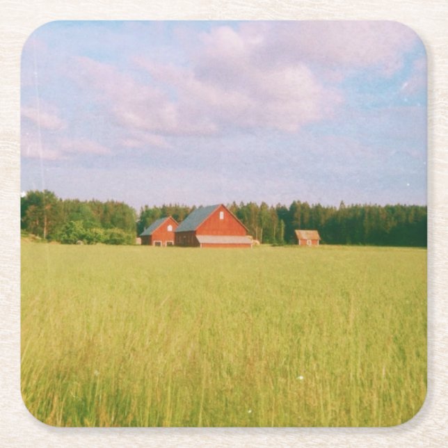 Rustic summer field, Helsingia, Sweden Square Paper Coaster (Front)