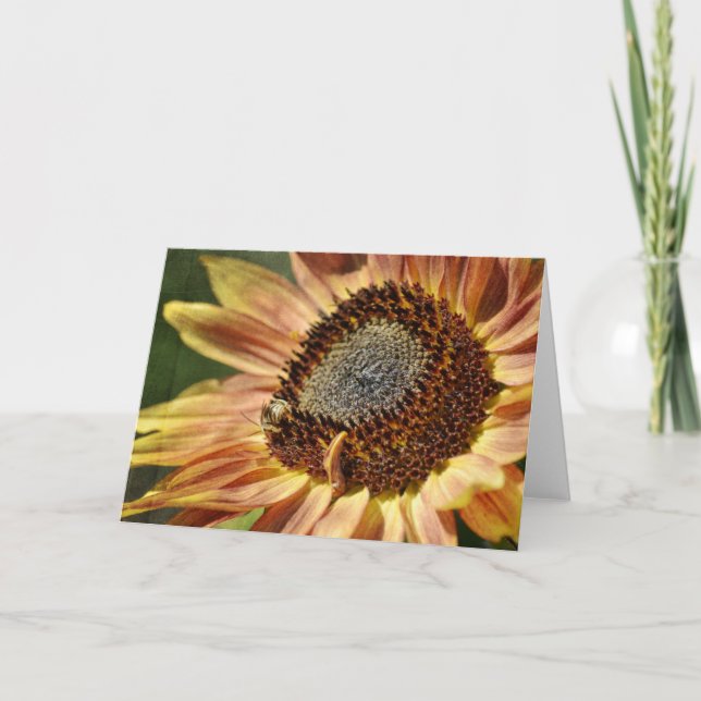 Rustic Sunflower Card (Front)