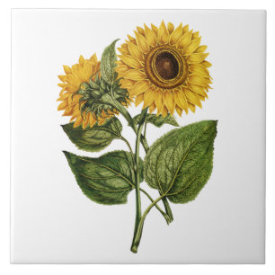 Rustic Sunflower Decorative Ceramic Tile