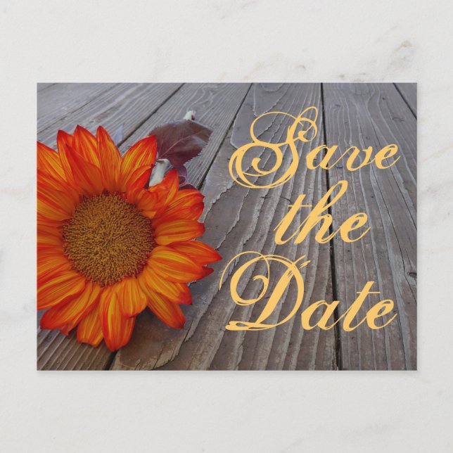 Rustic Sunflower Save The Date Wedding Postcard (Front)
