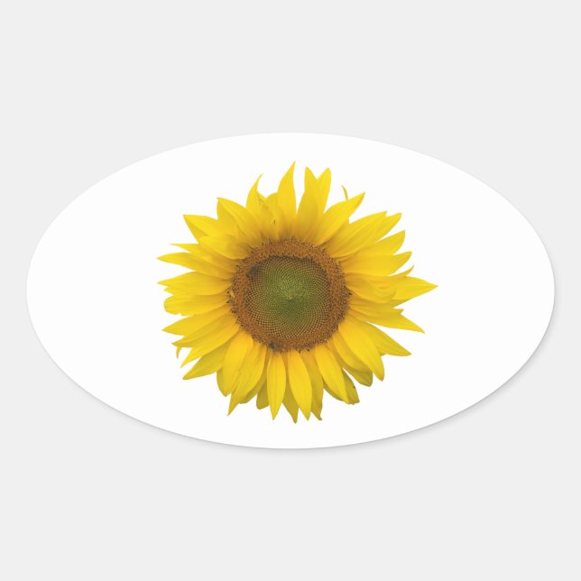 Rustic Sunflower Yellow Floral  Oval Sticker (Front)