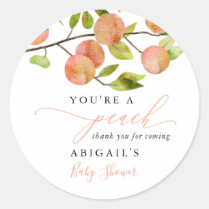 Rustic Sweet Peach Baby Shower Favour Classic Roun Round Sticker