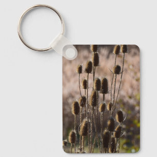 Rustic Teasel Thistle Dried Plant Pattern Key Ring