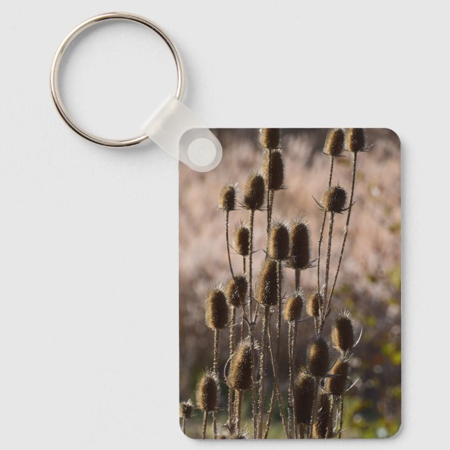 Rustic Teasel Thistle Dried Plant Pattern Key Ring (Front)
