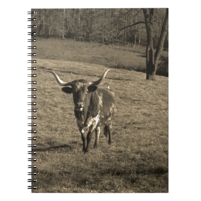 Rustic Texas Longhorn cattle ranch bull cow Notebook (Front)