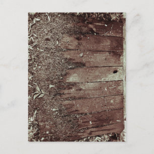 Rustic Texture Near Milledgeville Georgia Postcard