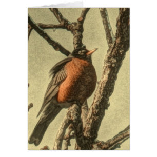 Rustic Tree branches Michigan State Bird Robin