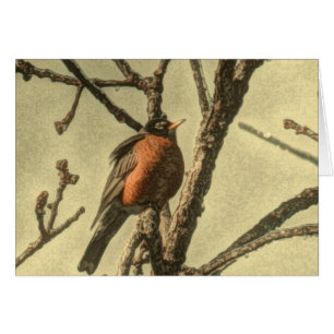 Rustic Tree branches Michigan State Bird Robin