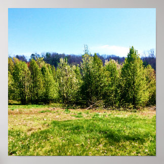 Rustic tree landscape photo Poster