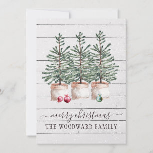 Rustic Trees Christmas Cards