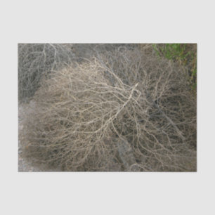 Rustic Tumbleweed Tissue Paper