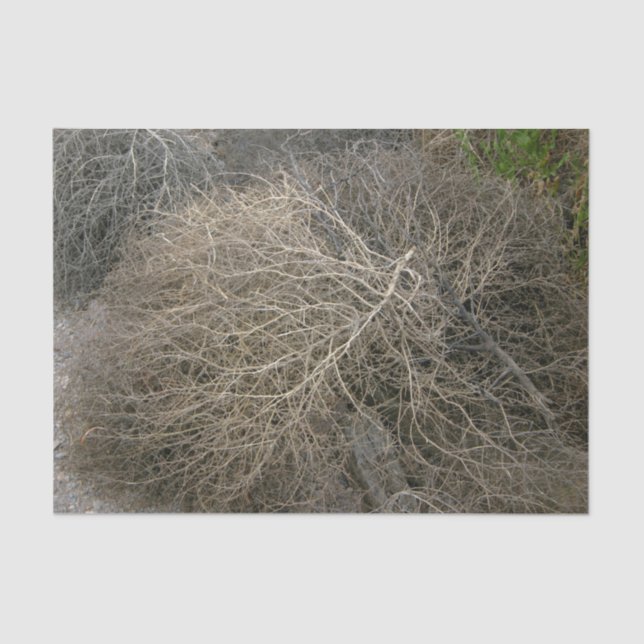 Rustic Tumbleweed Tissue Paper (Front)