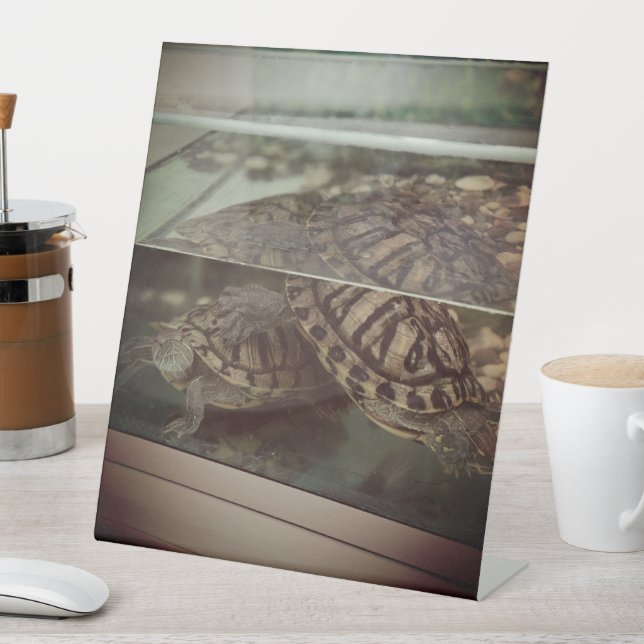 Rustic Turtle Pedestal Sign (In SItu)