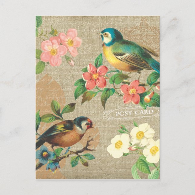 Rustic Vintage Birds and Flowers Shabby Elegance Postcard (Front)