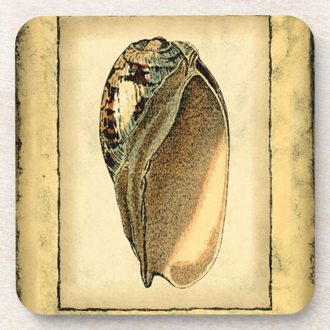 Rustic Vintage Seashell Coaster (Front)