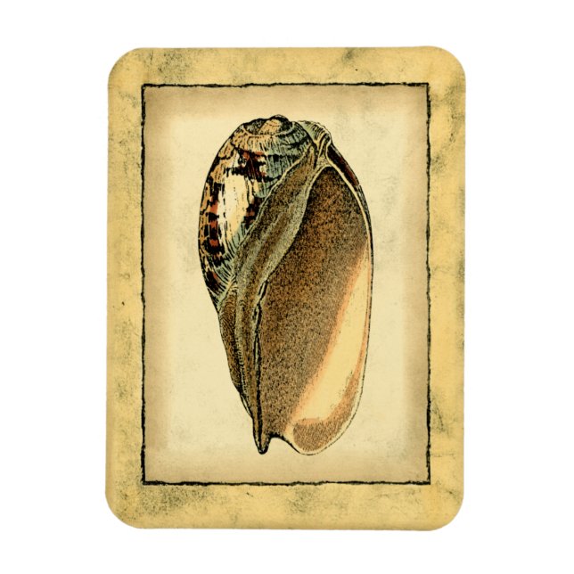 Rustic Vintage Seashell Magnet (Vertical)