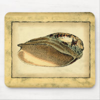 Rustic Vintage Seashell