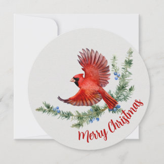 Rustic Watercolor Bird Red Cardinal Christmas Holiday Card