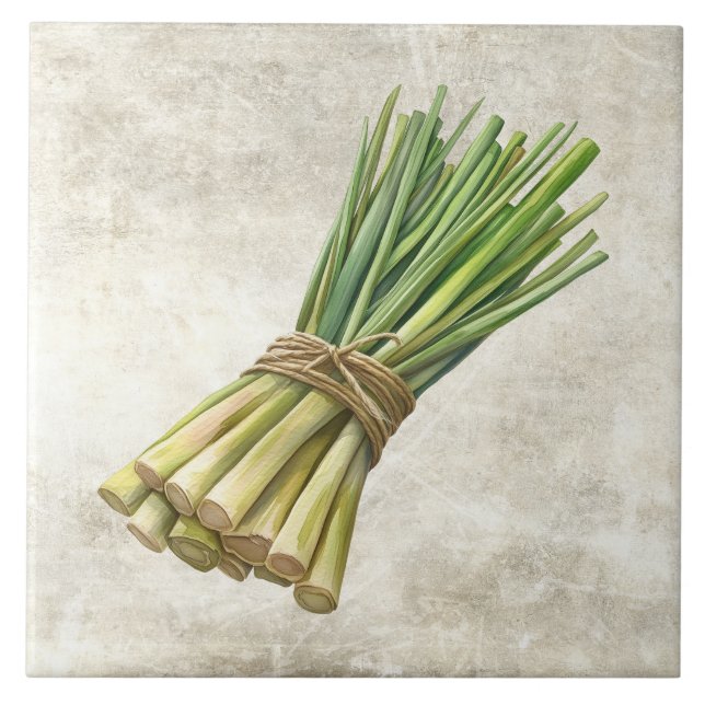 Rustic Watercolor Herbs Leeks with Twine Design Ceramic Tile (Front)