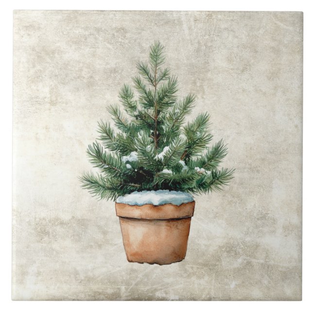 Rustic Watercolor Pine Tree in Pot  Ceramic Tile (Front)