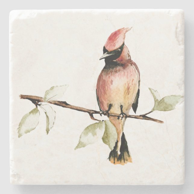 Rustic Watercolor Red Cardinal Coaster (Front)
