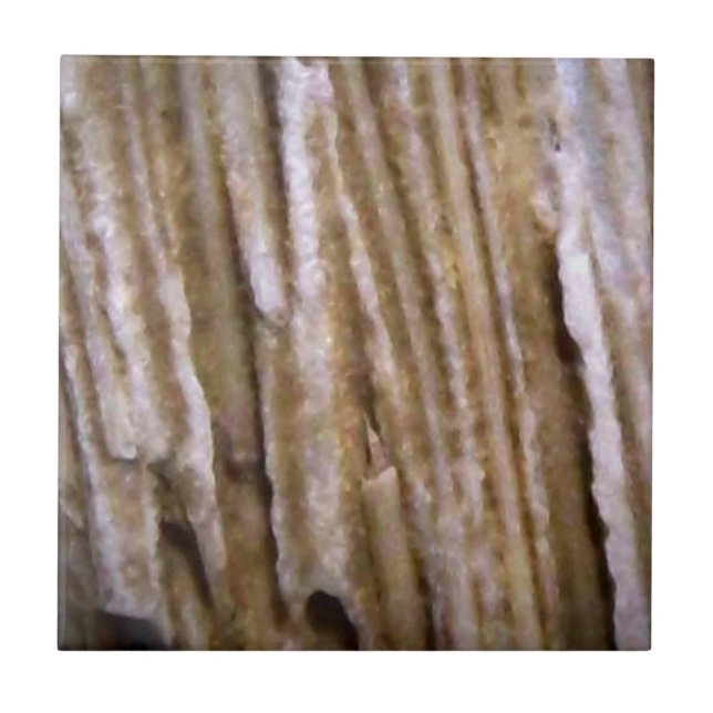 Rustic Western Petrified Wood Designer Tile (Front)