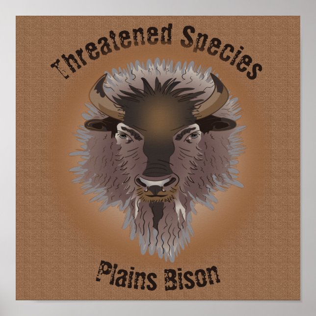 Rustic Western Plains Bison Poster (Front)