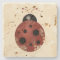 Rustic Whimsical Primitive Floral Ladybug
