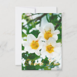 Rustic White lilies - Lilium candidum Thank You Card