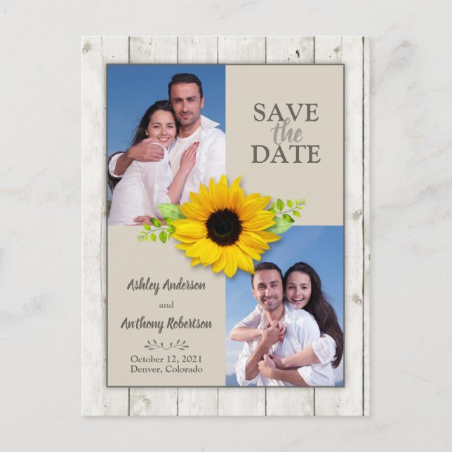 Rustic White Washed Sunflower Photo Save the Date Postcard (Front)