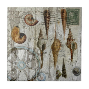 rustic whitewashed coastal chic seashell tile