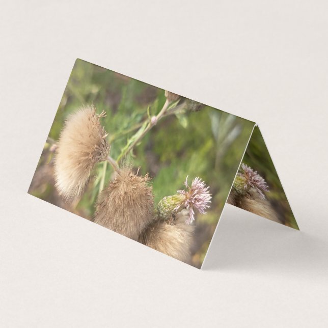 Rustic Wild Thistle Botanical Business Card (Front)