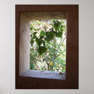 Rustic Window Poster