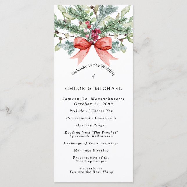 Rustic Winter Botanical Red Bow  DIY Wedding Program (Front)