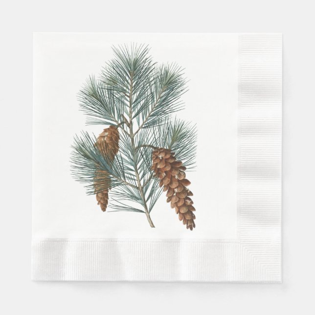 Rustic Winter Woodland Pine Cones and Branch Napkin (Front)