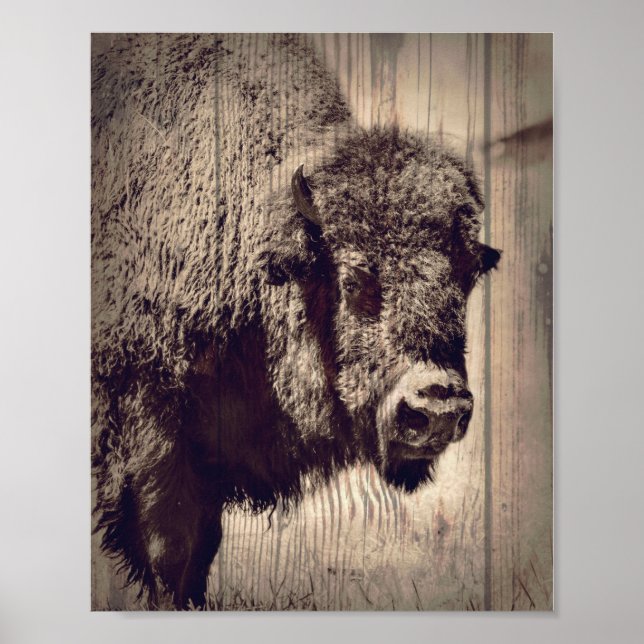 Rustic Wood Buffalo Photo Wild Western  Poster (Front)