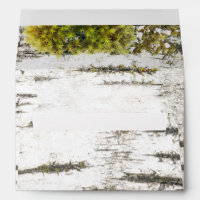 Rustic Woodland Birch Tree Bark Texture